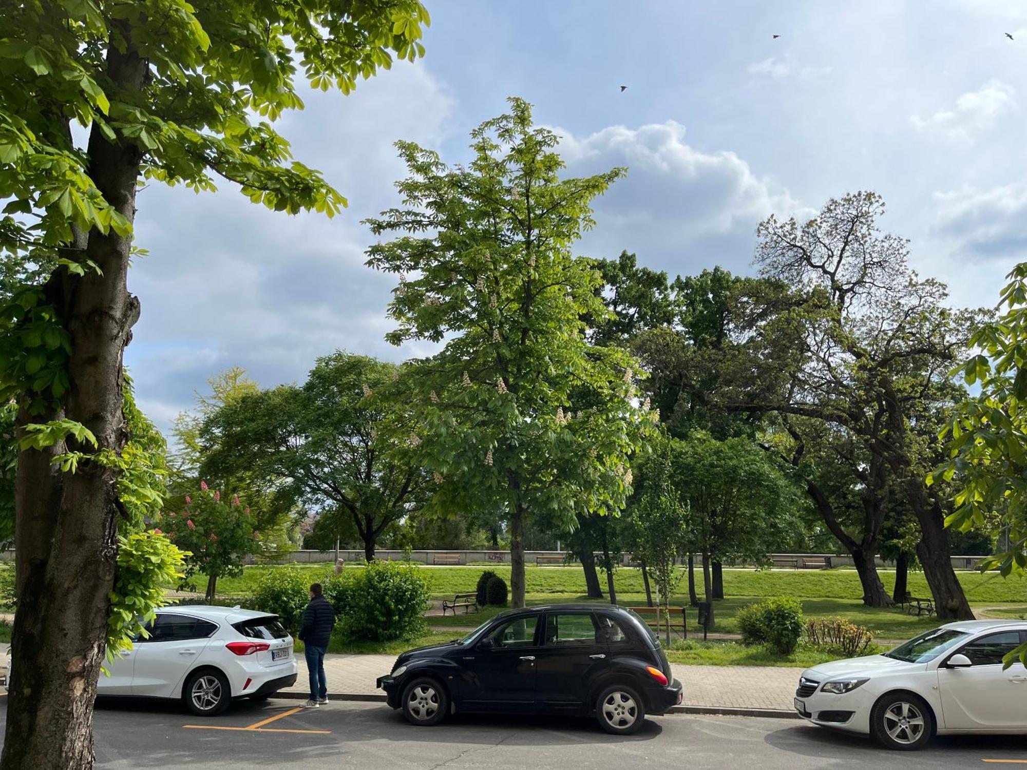 Panorama Apartment Gyor Bagian luar foto